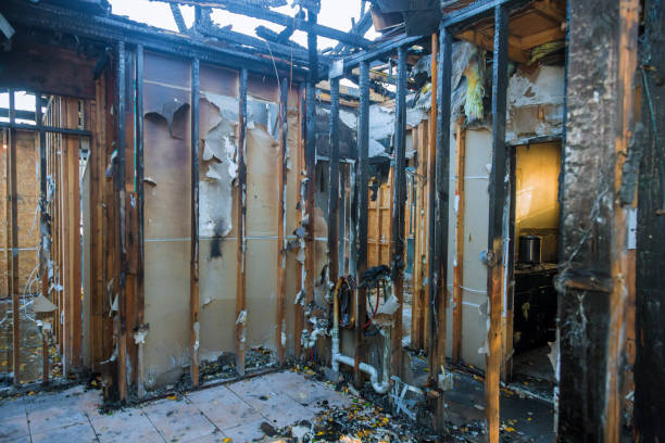 Professional Fire Damage Removal technician working in Edgecliff Village, TX